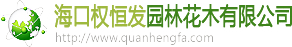 網(wǎng)絡(luò)經(jīng)濟(jì)主體信息